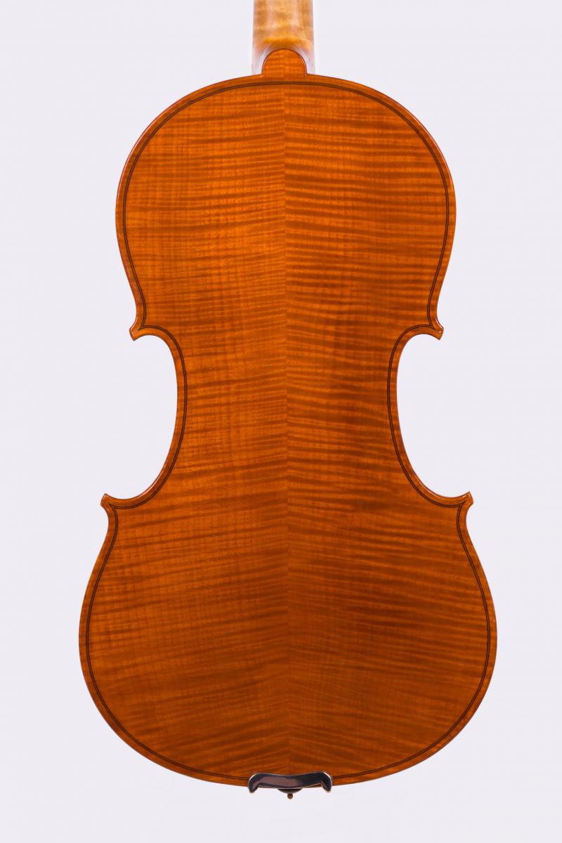 fond violino modello personale 2019
